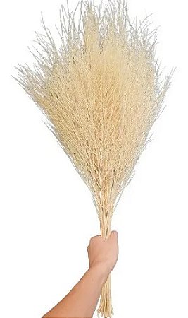 Galhos De Aspargo Alvejado Decoração Enfeite