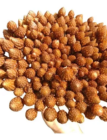 Galhos Mini Pinha Flor Natural Seca Para Arranjo E Decoração