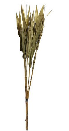 Galhos Secos E Naturais Andrequicé Para Decoração