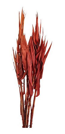 Galhos Secos E Naturais Andrequicé Para Decoração Vermelho