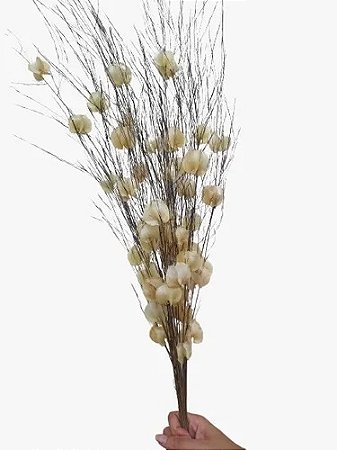 Montagem Com Galhos De Aspargo Natural Flor De Primavera