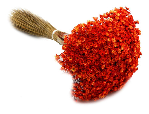 2 X 1000 Sempre Vivas Decoração Casamento Lembrança Laranja