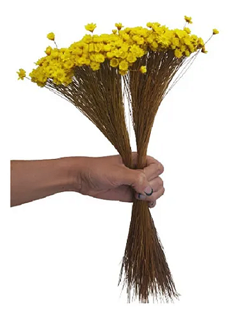 Sempre Vivas Decoração Casamento Lembrança Amarelas-400