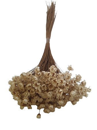 Sempre Vivas Decoração Casamento Lembrança Brancas-200