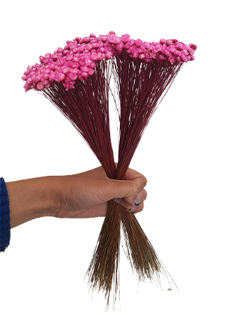 Sempre Vivas Decoração Casamento Lembrança Rosa-400