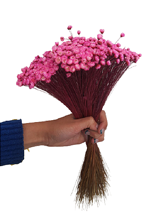 Sempre Vivas Decoração Casamento Lembrança Rosa-600UN