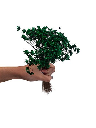 Sempre Vivas Decoração Casamento Lembrança Verde Escuro-400