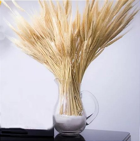 Haste De Trigo Seco Natural Alvejado Decoração Especial-510UN