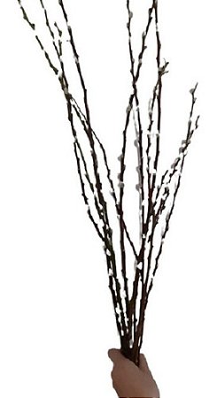 Kit 10 Hastes De Vime C/flores Secas Enfeite  Decoração Pres