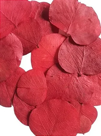 Folha Moeda Vermelha Seca Natural Decoração 100g
