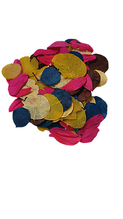 Folha Seca Moeda Mista Ornamentação 30g