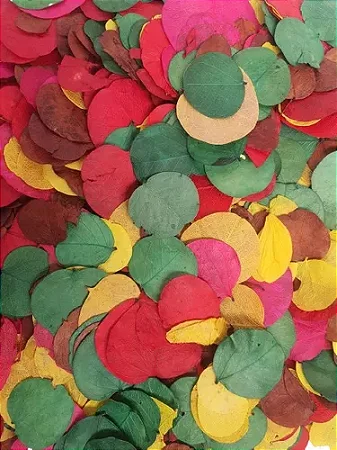 Folhas Moedas Mistas Seca Decoração Enfeite