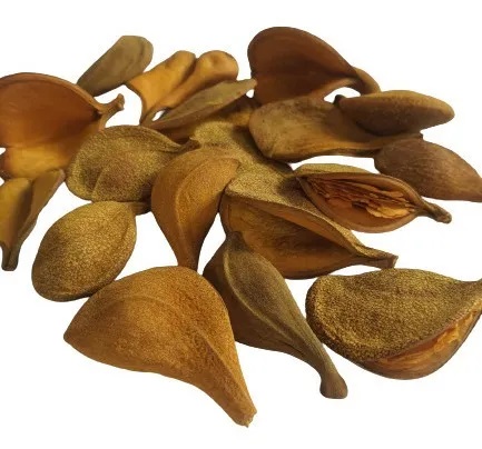 Folhas Secas Desidratadas Pereirinha Decoração Enfeite