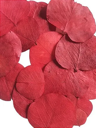 Folhas Secas Vermelha Decoração Ornamentação-100 Folhas