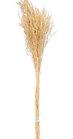 Capim Arrozinho Para Decorção Enfeite  Ornamentação Presente