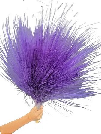Capim Rabo De Burro Natural Roxo Decoração Enfeite