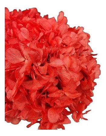 Flor De Hortência Vermelha Seca Natural Decoração