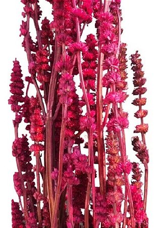 Flor De Rubi Seca Rosa Pink Pintada Maço Com 5 Varas Decoração Enfeite