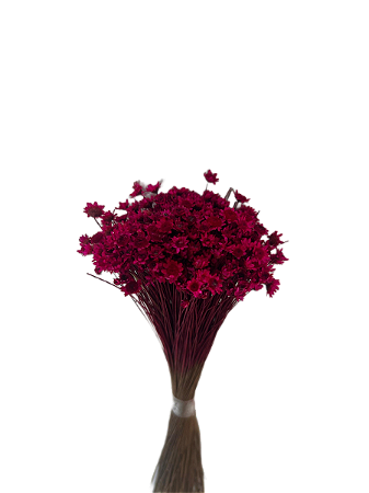 Sempre Viva Florzinhas  Rosa Pink 500 Unidades