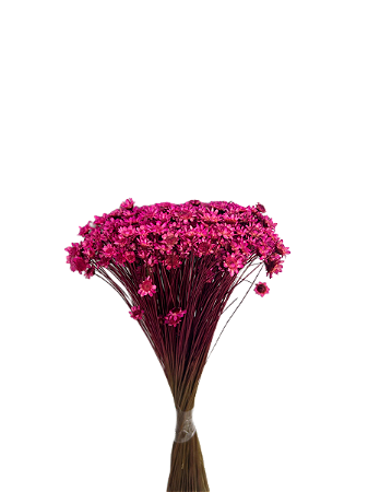 Sempre Viva Florzinhas Rosa 500 Unidades