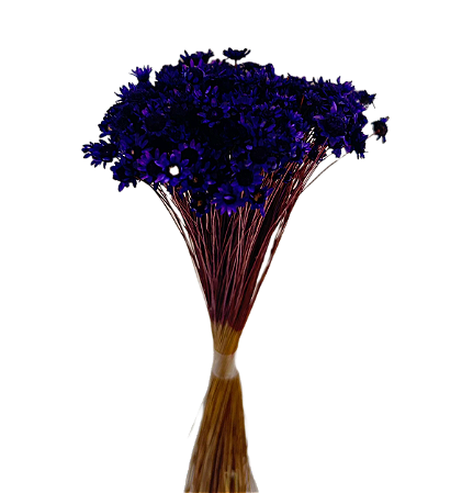 Sempre Viva Florzinhas Roxa 500 Unidades