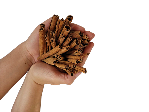 canela em pau Seca para Decoração Enfeite
