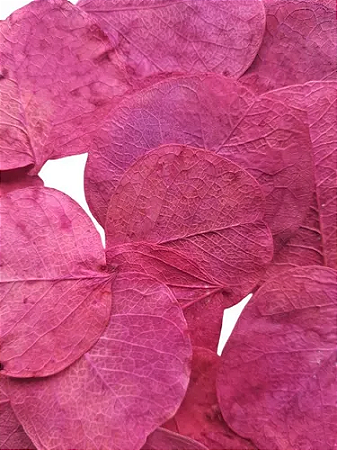 Folhas Secas Rosa Pink Decoração Ornamentação-350 Folhas