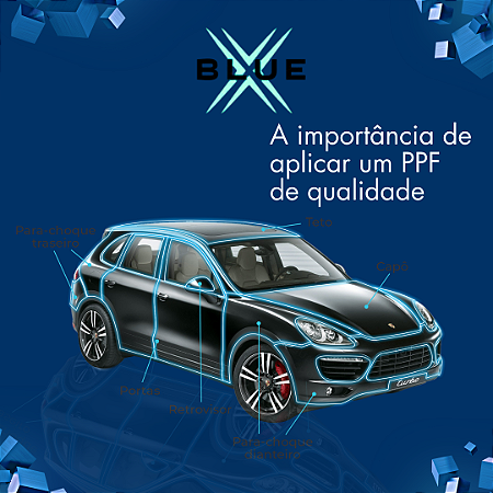 Curso Profissional PPf Nível 1 (Iniciante)