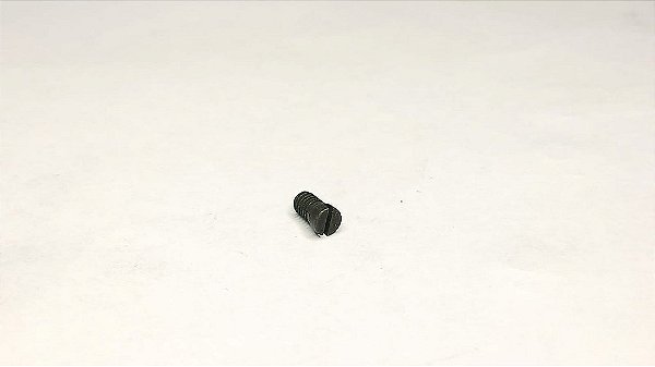 Parafuso de fixação da alça de mira G2c / TX 22