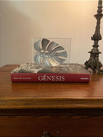 Caixa de Acrílico Decorativa Folha Costela de Adão Prata