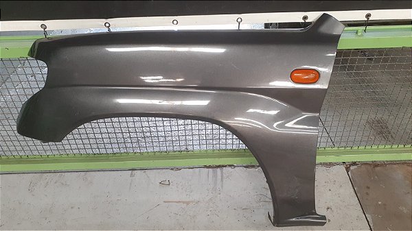Paralama Dianteiro Esquerdo Mitsubishi Pajero TR4 2.0 16V 2006 GYW-4432