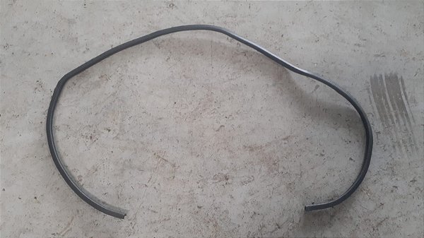 Borracha da Porta Dianteira Direita Mitsubishi Pajero TR4 2.0 – 2006