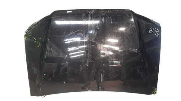 Capô C/Detalhe Mitsubsihi Pajero TR4 2006 2.0