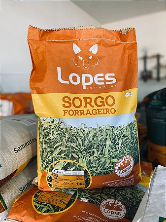 SORGO FORRAGEIRO - BRS PONTA NEGRA