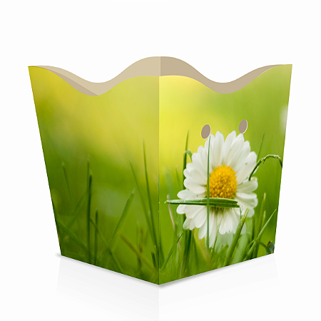 Cachepot de Papel Pote 6 PP 7x7x5,5cm Margarida com 10un