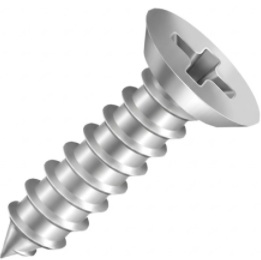 Parafuso Inox Cabeça Chata Rebaixada 4,2x9,5mm Philips Cx200p