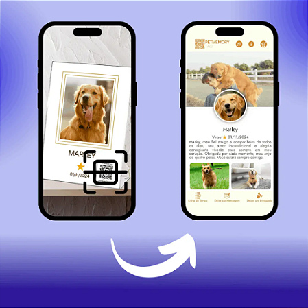 Pet Memory Tag - Prata