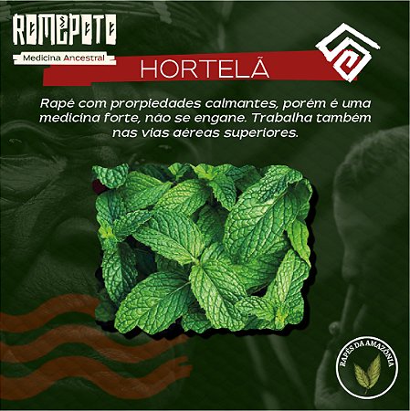 Hortelã 18g