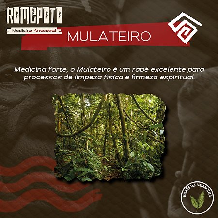 Mulateiro 18g
