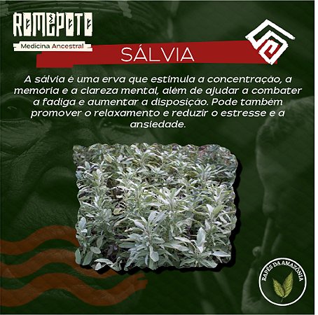 Sálvia 18g