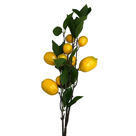 Galho Mini Limão Siciliano x10 Amarelo 100cm