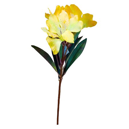 GALHO DE ASTROMÉLIA AMARELO 60CM