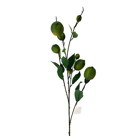 Galho com Mini Limão Tahiti Verde x8 93 cm