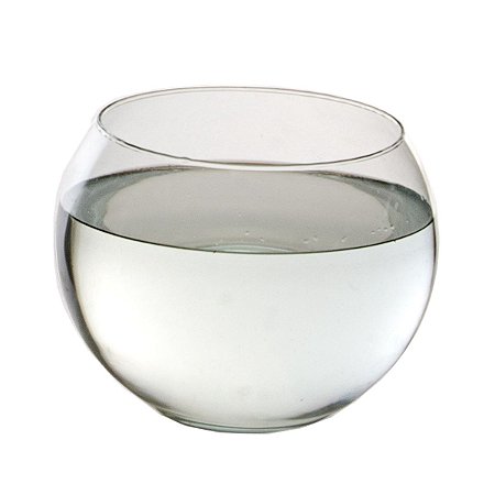 Vaso de Vidro Transparente Aquário M 12x17 cm