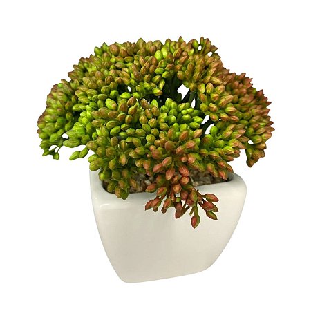 Flor Suculenta Verde Outono 14,5cm Sortidas com Vaso Branco