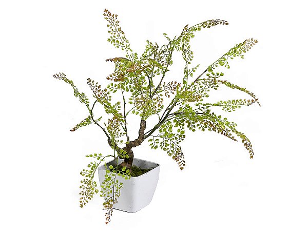 Folha Avenca X28 Toque Real 55cm no Vaso