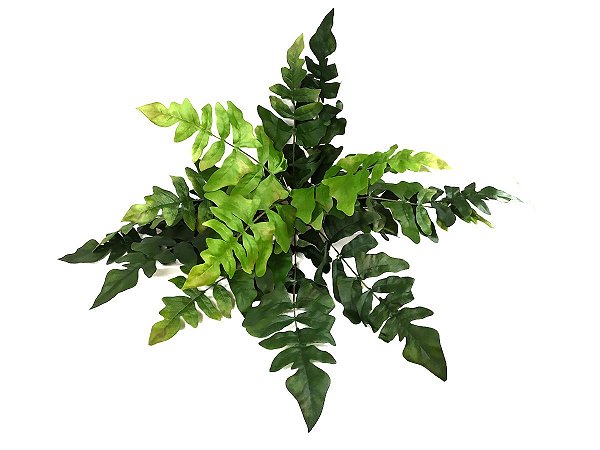 Buquê Samambaia Selvagem - 58cm