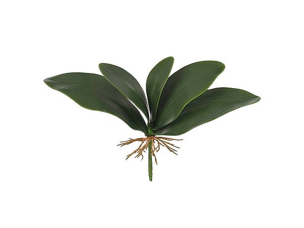 Folha de Orquidea X5 Verde 30cm