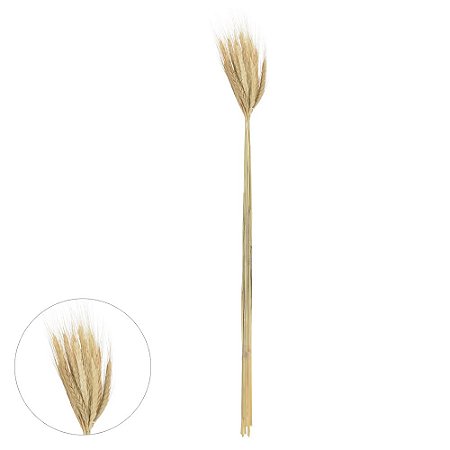 TRIGO C/20 HASTE DESIDRATADO ALVEJADO 65CM