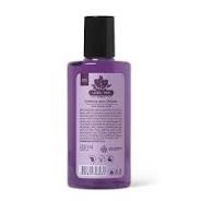 Essência para Difusor Lavanda & Âmbar – 210ml